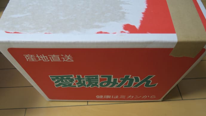 愛媛からの美味しいプレゼント(43)<野菜・文旦・ちりめん>