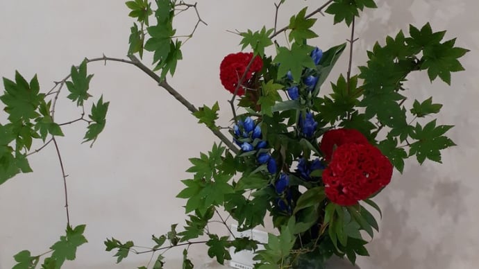 9月生花