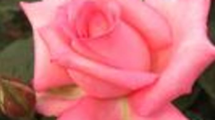 3月(M.K)