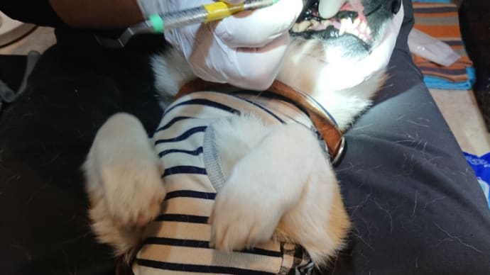 なんということでしょう!除湿を稼働させてしまった~(涙)