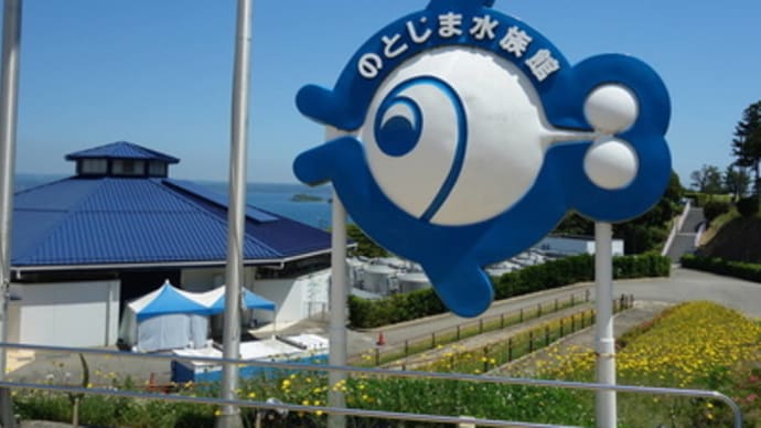 ラスカが元気で嬉しい