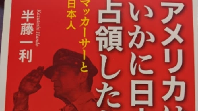 ねこではない、同じ人類