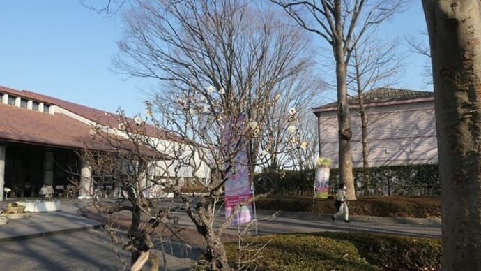 府中郷土の森博物館にて、1月の温度統計