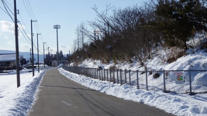 ヒメアトスカシバ(虫こぶ)(富山市関)