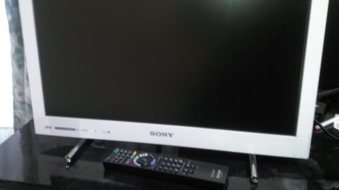 SONY BRAVIA KDL-22EX42H (W)☆彡
