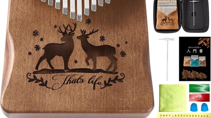 新しい音楽楽器を見つけた!「カリンバ」これは買いだ!!