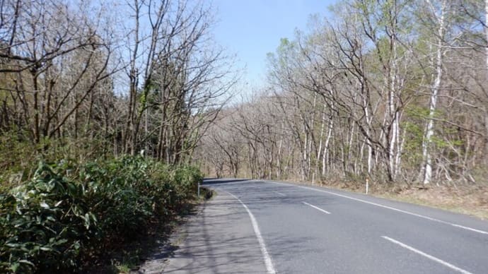 大山に行ってきた~