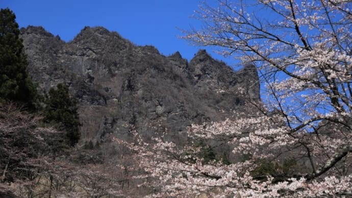 妙義山さくらの里2020(その2)