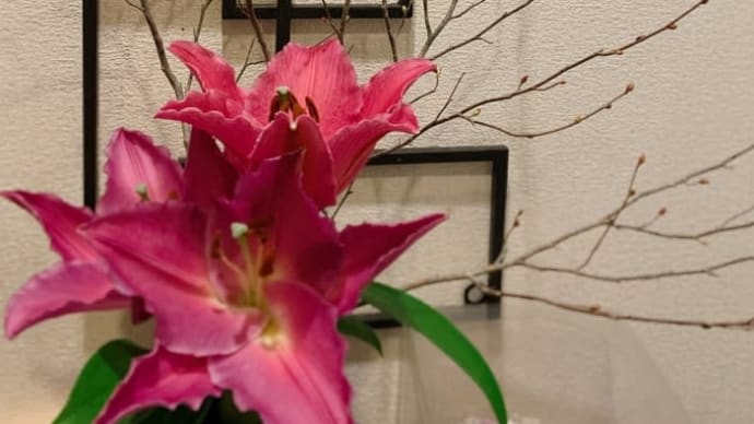 50代、生涯現役が良いなぁ(^-^)＝2月のお花＝【仕事の事】