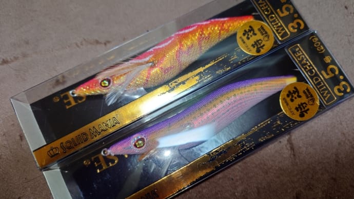 ワイルドチェイス 烏賊スタイル