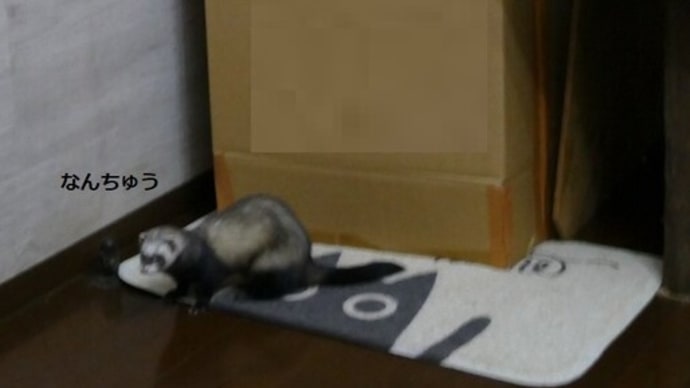 ああやれば、こうなる 3