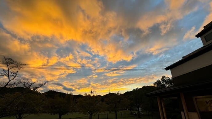 昨日の別邸わんこ日和にて