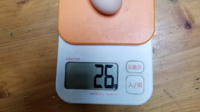 たまご2個目❤️