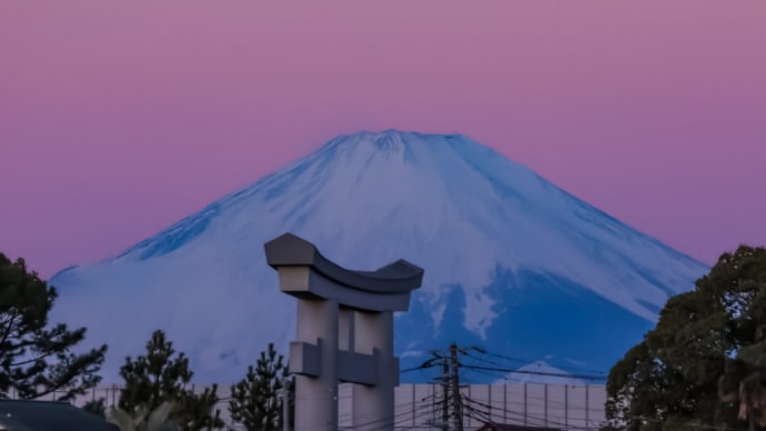 28/Jan 朝焼けの富士山🗻とコサギとカワセミとロウバイ