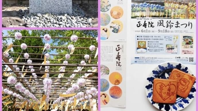 🎐 宇治・正寿院
