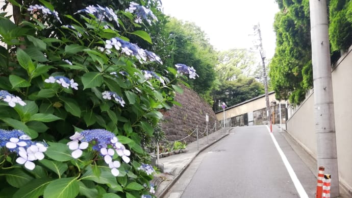 通勤散歩～赤坂の散策コース～