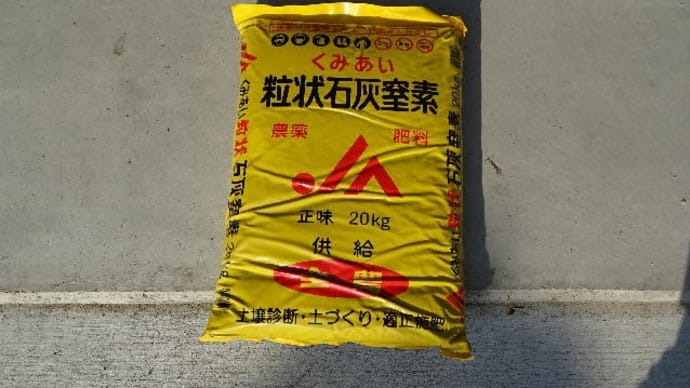 石灰窒素を撒く
