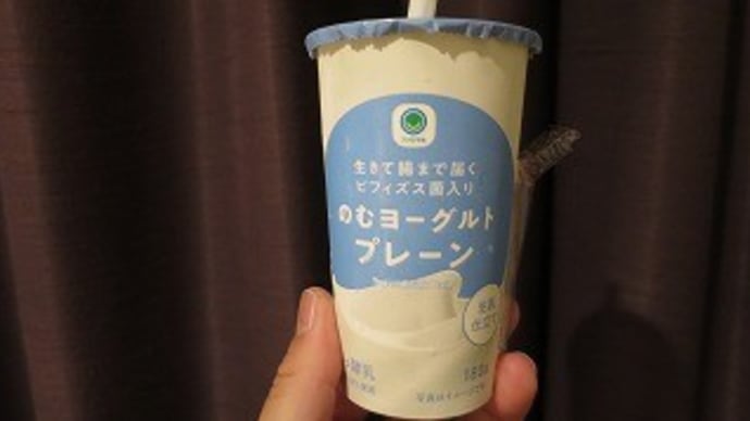 2022JAL修行 3回目 その2