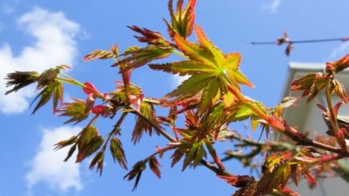 ☆メルヘンチックな年頃があった?