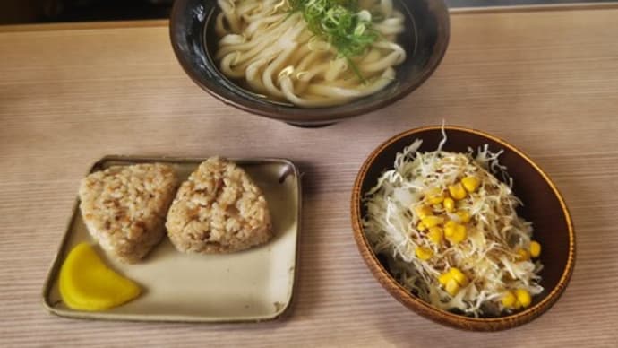 この日も嬉しい価格設定の美味しいうどんいただきました 本家人力うどん 鳥栖バイパス店㉔(佐賀県鳥栖市)