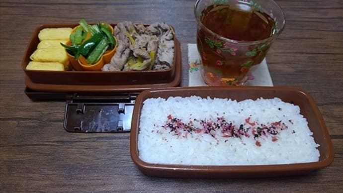 また…ただお弁当箱が使いたいだけの日の自分弁。