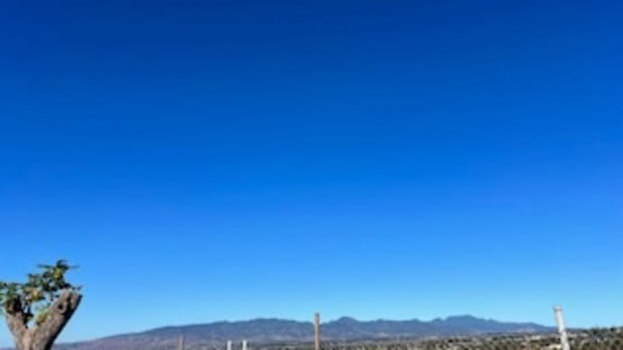 朝から晩まで