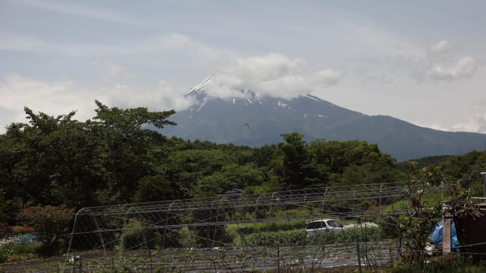 20220613　忍野八海霊場の池　15　Vario-Sonnar T* 28-85mm