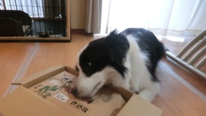 ふるさと納税の返礼品(新潟県南魚沼市) 届きました
