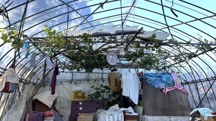 酷暑が心配されるビニールハウス避難・・・輪島漆器販売義援金プロジェクト
