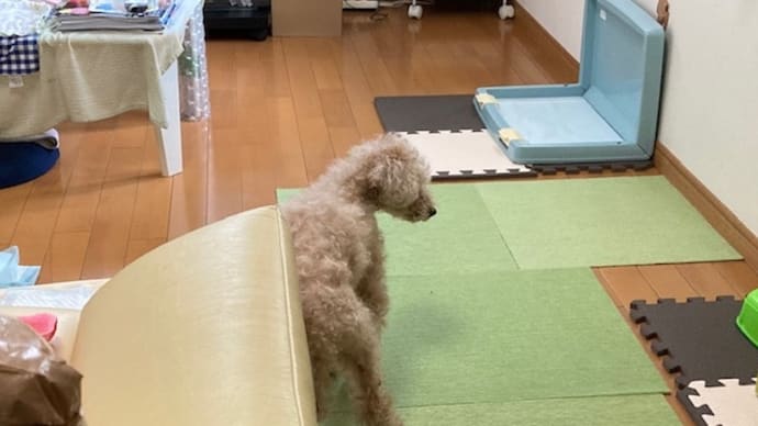 爽やかな風に浮かれて