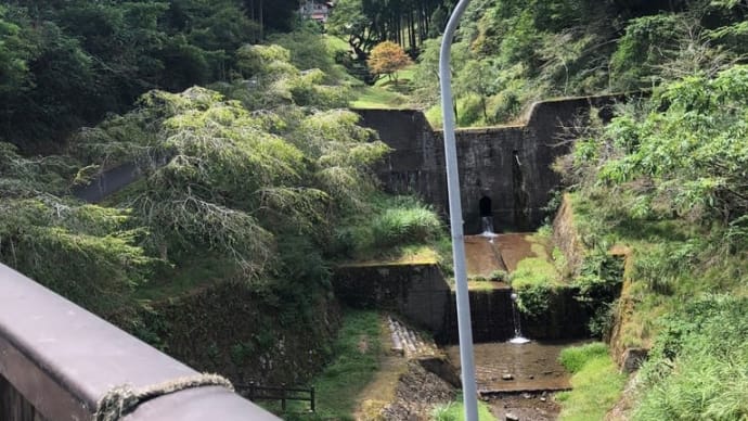 恵みの雨?