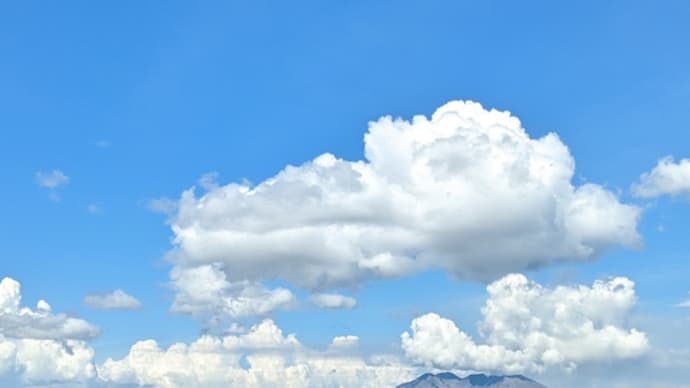 俳句の成果6〜8月