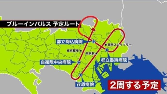ブルーインパルスの“感謝飛行”に胸あつ
