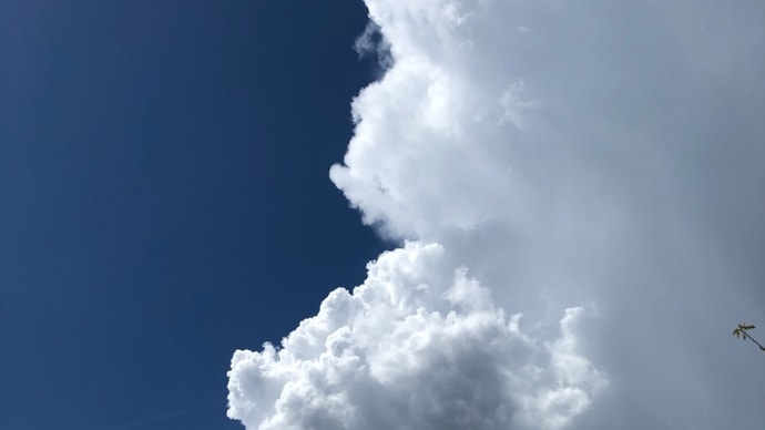 今日はお休み