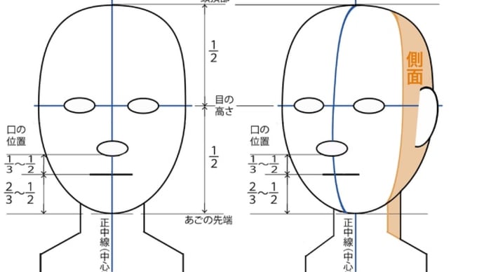 斜め向きの顔を描く