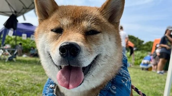 カヤいぬ親さんが決まりました♪