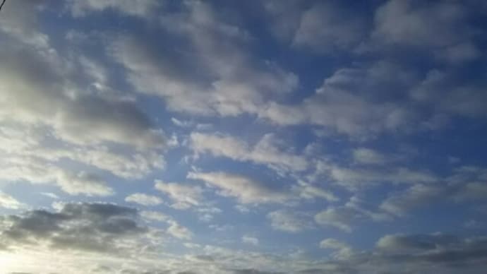 土曜日のお昼休み