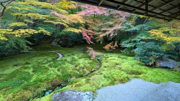 「夢幻泡影」を味わふ