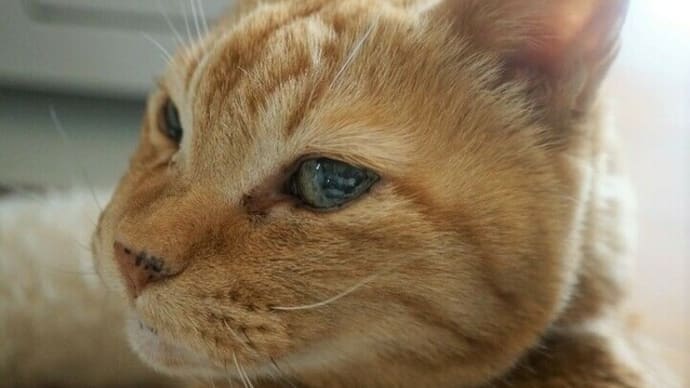 3月だけどまだ寒い