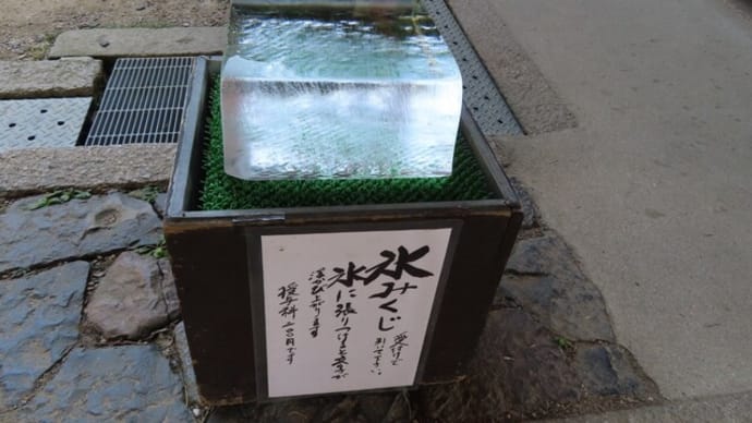 氷室神社から色々回ってお茶屋で一息～秋の奈良散歩2023/11上旬（4）