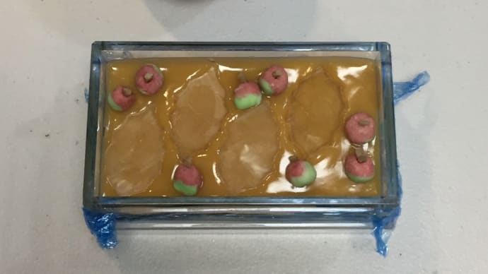 りんごちゃん