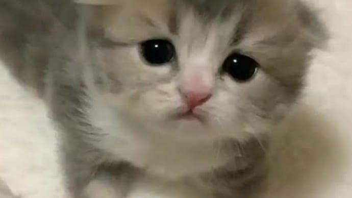 おはようございます‼️