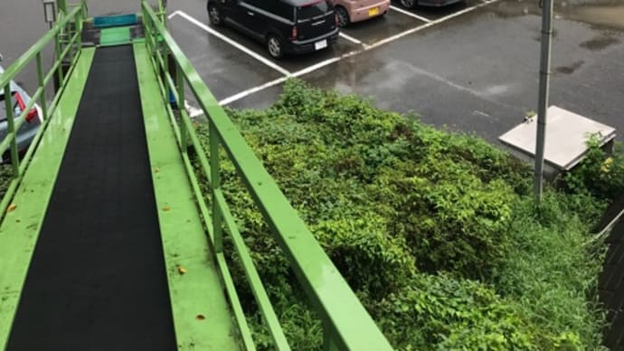 ゴルフへの道