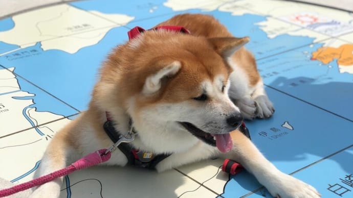 白崎海洋公園~