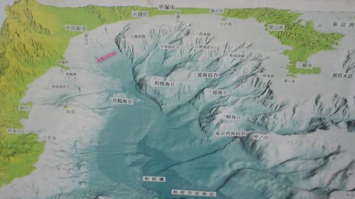寒かったっすねぇぇ。