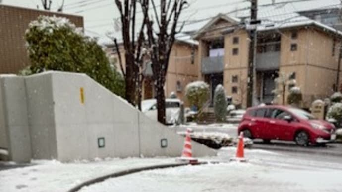 山中湖方面へ行くはずが雪でした