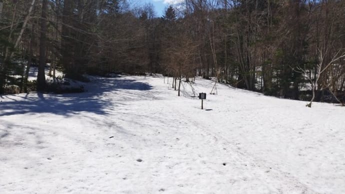千尺高地　めっちゃクラストした雪　2025-04-17