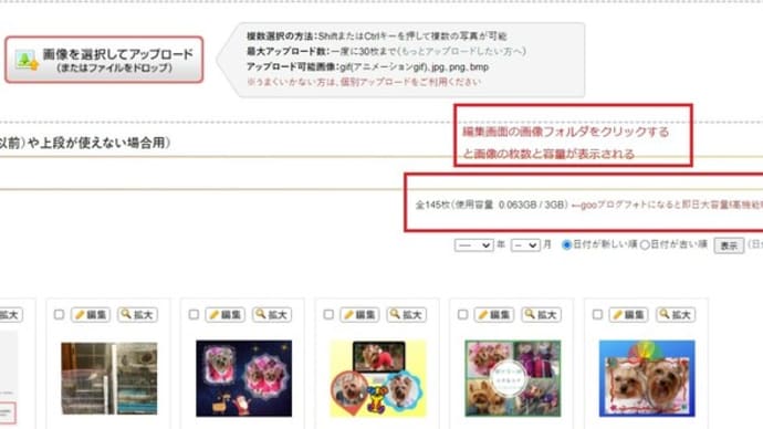朝から認知気味?&Gooブログの画像フォルダを見る