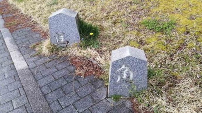 天童市に人間将棋を見にいってきた