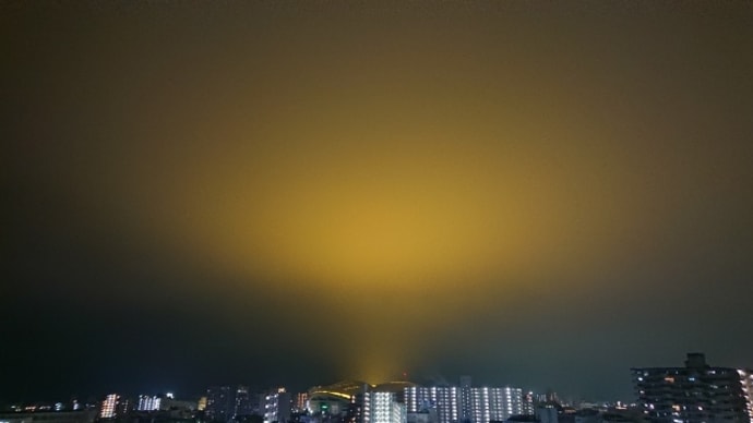 3月1日(火) 出社日・妖しい光